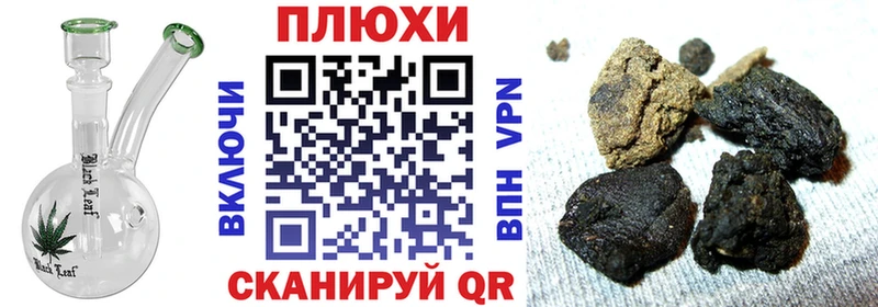 продажа наркотиков  Выборг  это состав  Гашиш Cannabis 