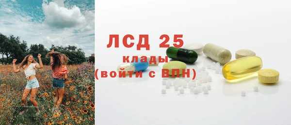 экстази Бородино