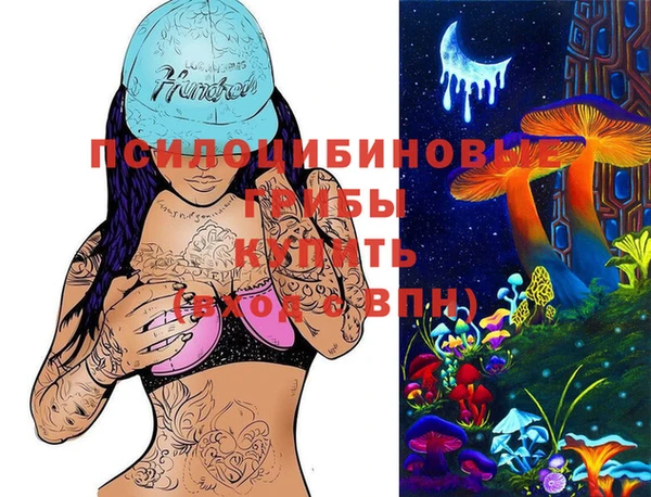 ПСИЛОЦИБИНОВЫЕ ГРИБЫ Бугульма