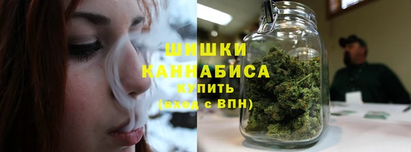 экстази Бородино