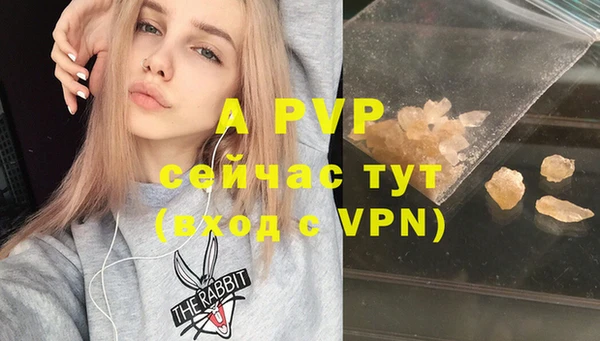 экстази Бородино