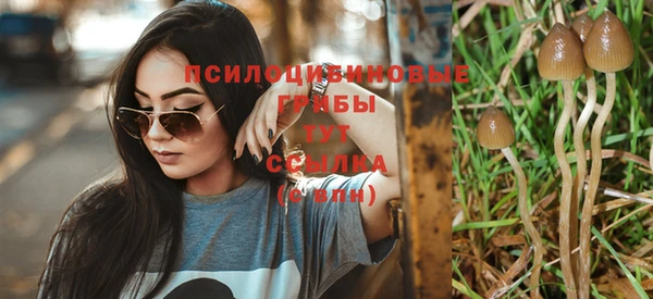 ПСИЛОЦИБИНОВЫЕ ГРИБЫ Бугульма