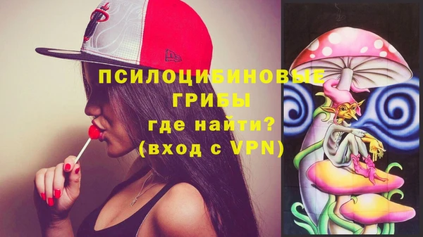 ПСИЛОЦИБИНОВЫЕ ГРИБЫ Бугульма
