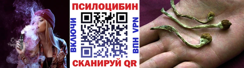 хочу наркоту  Выборг  Псилоцибиновые грибы GOLDEN TEACHER 