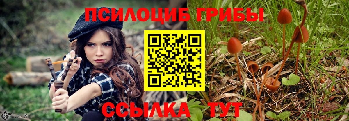 Псилоцибиновые грибы мицелий  Вход с VPN  Выборг  Галлюциногенные грибы мухоморы 